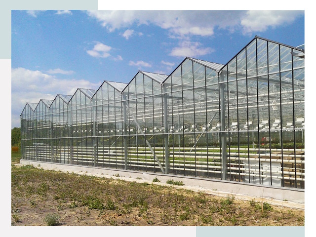 Строительство теплиц в Грозный от 616 руб. за м²